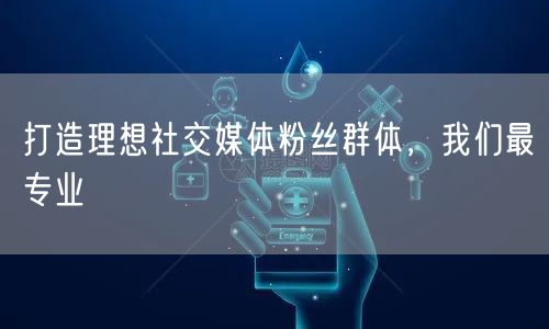 打造理想社交媒体粉丝群体，我们最专业