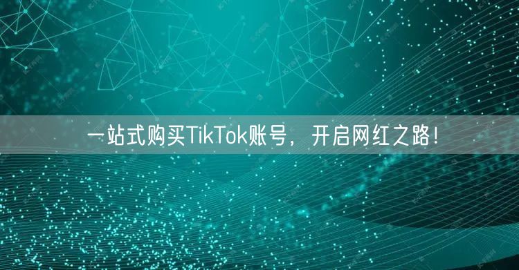 一站式购买TikTok账号,开启网红之路!