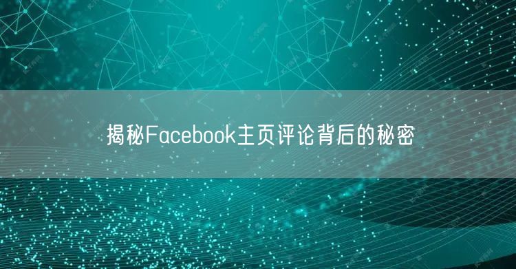揭秘Facebook主页评论背后的秘密
