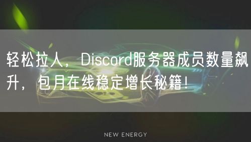 轻松拉人,Discord服务器成员数量飙升,包月在线稳定增长秘籍!