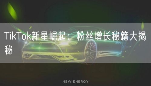 TikTok新星崛起:粉丝增长秘籍大揭秘