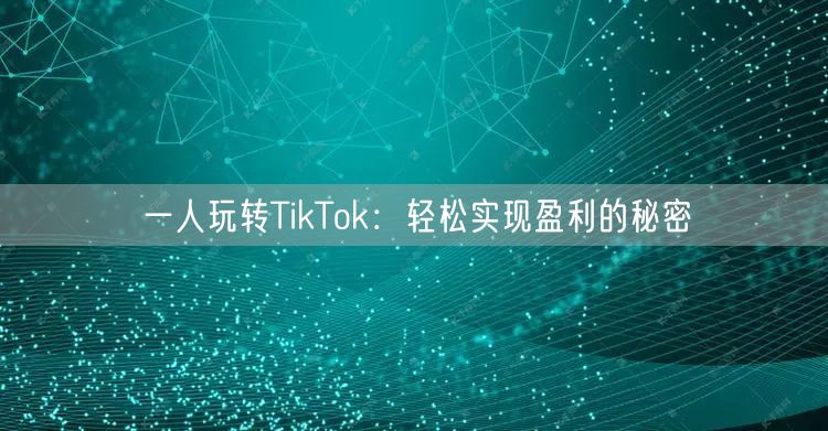 一人玩转TikTok:轻松实现盈利的秘密