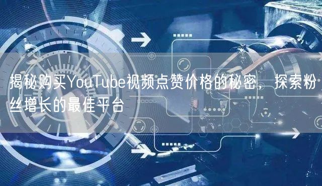 揭秘购买YouTube视频点赞价格的秘密,探索粉丝增长的最佳平台