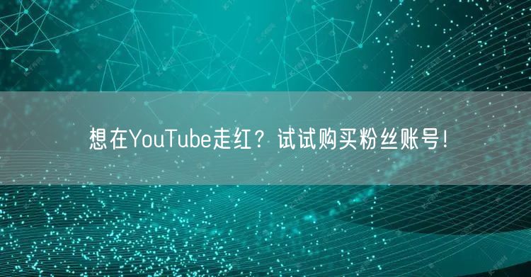 想在YouTube走红?试试购买粉丝账号!