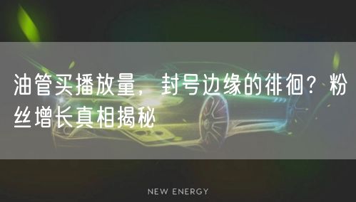 油管买播放量,封号边缘的徘徊?粉丝增长真相揭秘