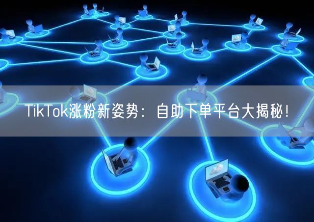 TikTok涨粉新姿势:自助下单平台大揭秘!