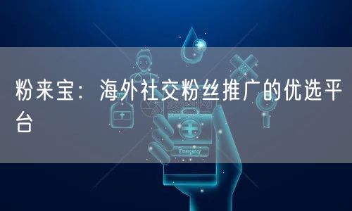 粉来宝:海外社交粉丝推广的优选平台