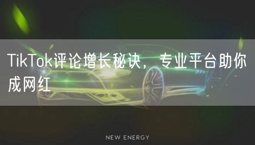 TikTok评论增长秘诀,专业平台助你成网红