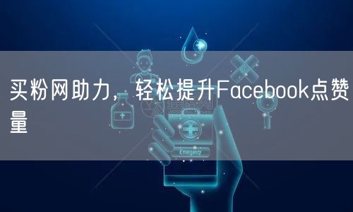 买粉网助力,轻松提升Facebook点赞量