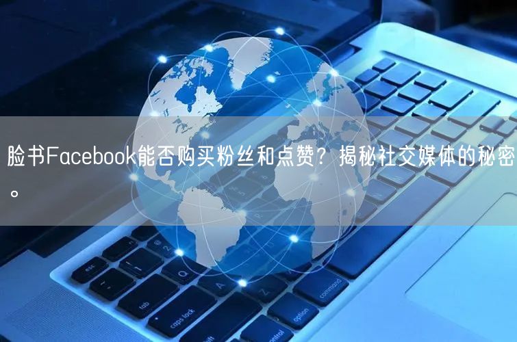 脸书Facebook能否购买粉丝和点赞？揭秘社交媒体的秘密。