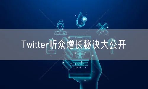 Twitter听众增长秘诀大公开