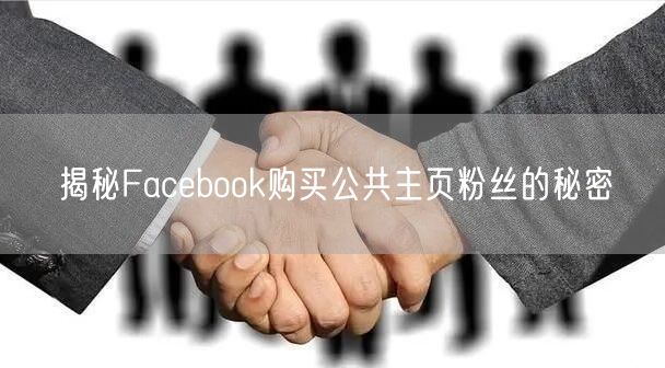 揭秘Facebook购买公共主页粉丝的秘密