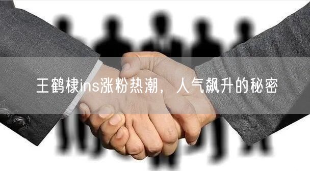 王鹤棣ins涨粉热潮,人气飙升的秘密