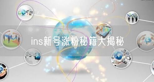 ins新号涨粉秘籍大揭秘