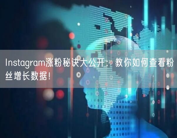 Instagram涨粉秘诀大公开:教你如何查看粉丝增长数据!