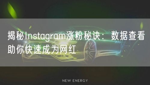 揭秘Instagram涨粉秘诀:数据查看助你快速成为网红