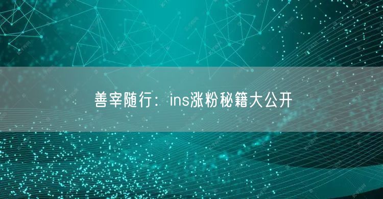 善宰随行:ins涨粉秘籍大公开