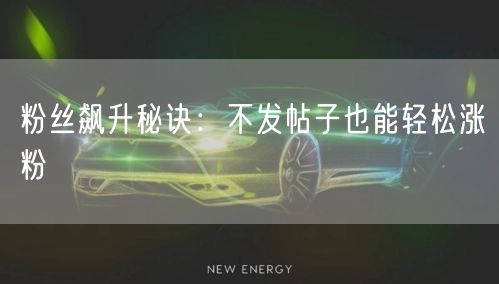 粉丝飙升秘诀:不发帖子也能轻松涨粉