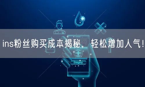 ins粉丝购买成本揭秘,轻松增加人气!