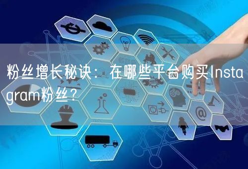 粉丝增长秘诀:在哪些平台购买Instagram粉丝?