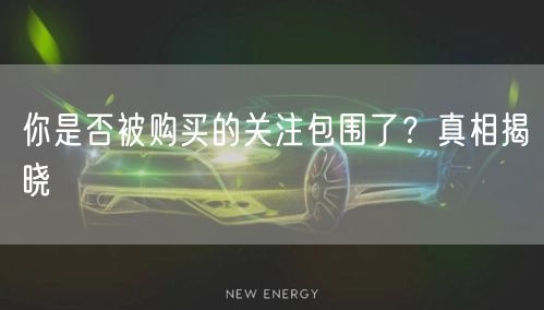 你是否被购买的关注包围了?真相揭晓