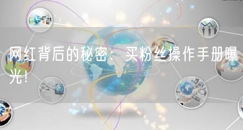 网红背后的秘密：买粉丝操作手册曝光！