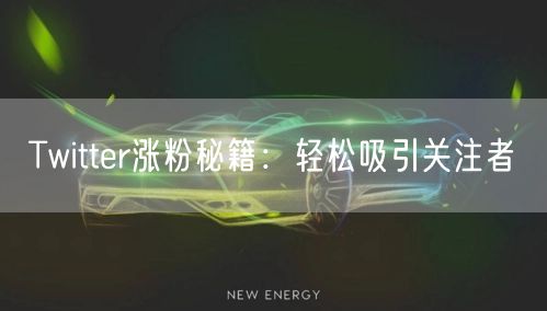 Twitter涨粉秘籍:轻松吸引关注者