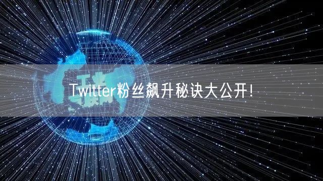 Twitter粉丝飙升秘诀大公开!