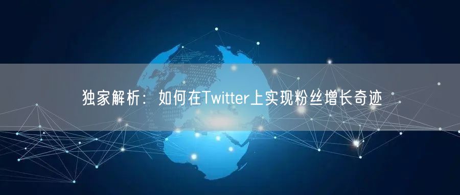 独家解析:如何在Twitter上实现粉丝增长奇迹