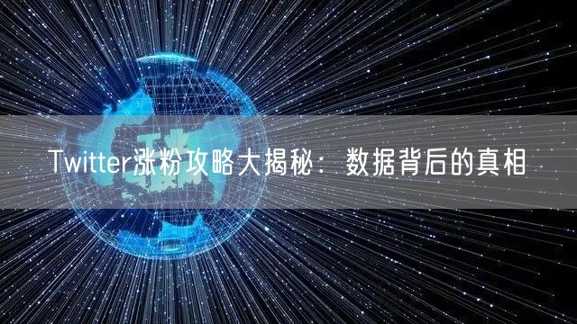 Twitter涨粉攻略大揭秘:数据背后的真相