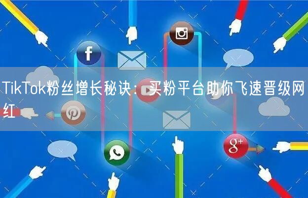 TikTok粉丝增长秘诀:买粉平台助你飞速晋级网红