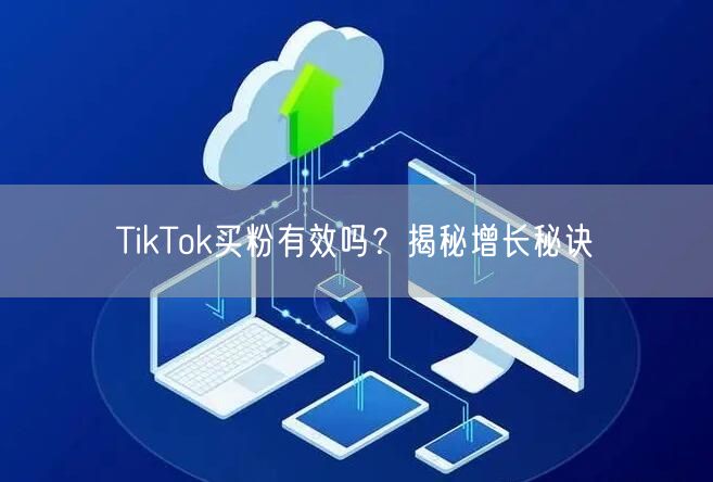 TikTok买粉有效吗?揭秘增长秘诀