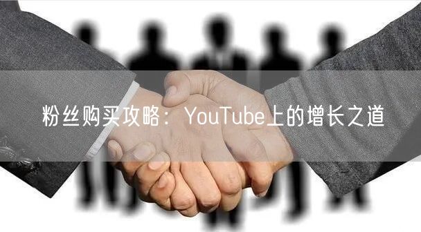 粉丝购买攻略:YouTube上的增长之道