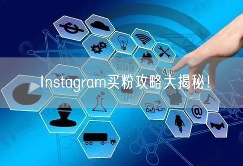 Instagram买粉攻略大揭秘!