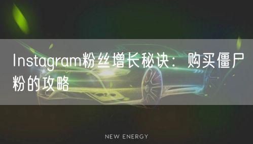 Instagram粉丝增长秘诀:购买僵尸粉的攻略