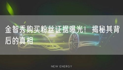 金智秀购买粉丝证据曝光!揭秘其背后的真相