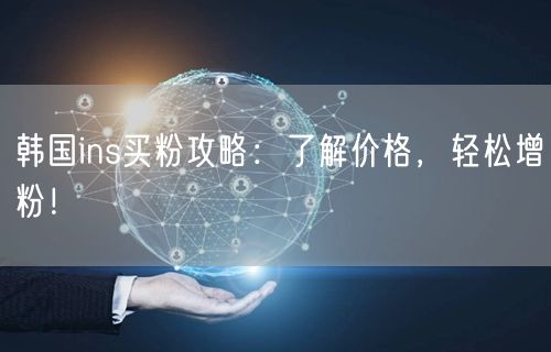 韩国ins买粉攻略:了解价格,轻松增粉!