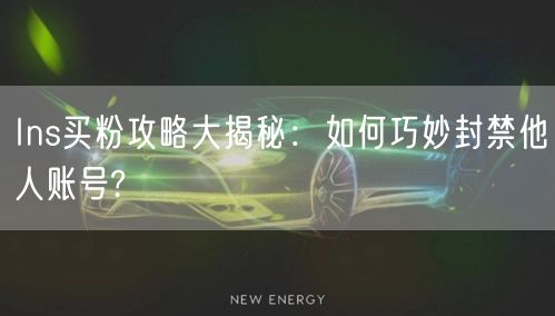 Ins买粉攻略大揭秘:如何巧妙封禁他人账号?