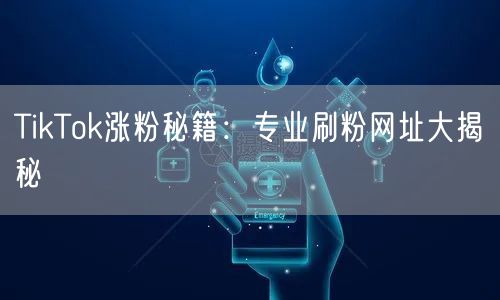 TikTok涨粉秘籍:专业刷粉网址大揭秘