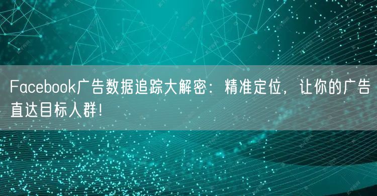 Facebook广告数据追踪大解密:精准定位,让你的广告直达目标人群!