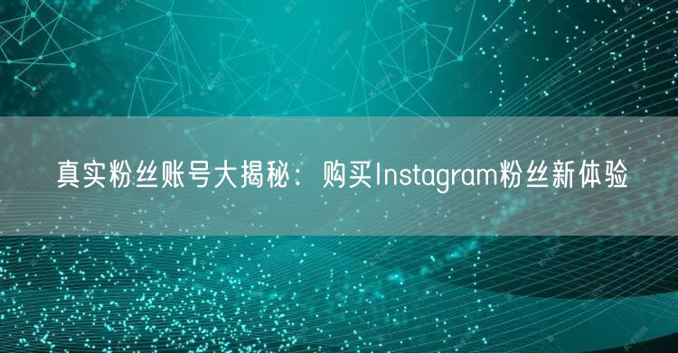 真实粉丝账号大揭秘:购买Instagram粉丝新体验