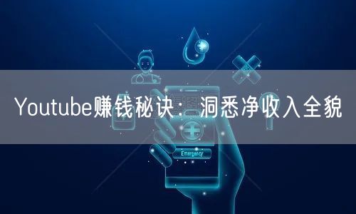 Youtube赚钱秘诀:洞悉净收入全貌