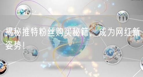 揭秘推特粉丝购买秘籍,成为网红新姿势!