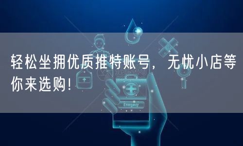 轻松坐拥优质推特账号,无忧小店等你来选购!