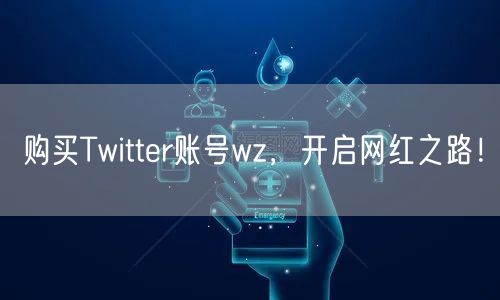 购买Twitter账号wz,开启网红之路!
