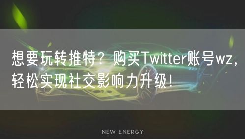 想要玩转推特?购买Twitter账号wz,轻松实现社交影响力升级!