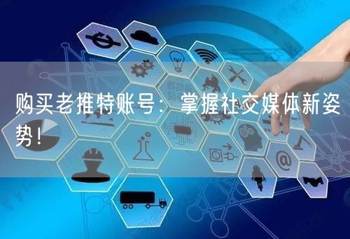 购买老推特账号:掌握社交媒体新姿势!
