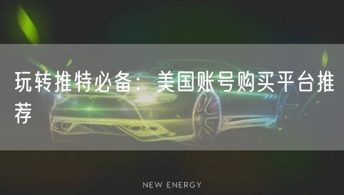 玩转推特必备:美国账号购买平台推荐