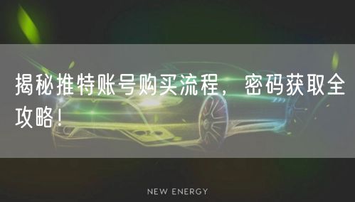 揭秘推特账号购买流程,密码获取全攻略!