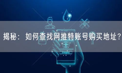 揭秘：如何查找网推特账号购买地址？